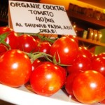 Home-grown tomatoes