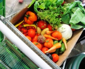 From farm to table - Bumble Box