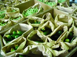 Bumble Box cucumbers & green beans