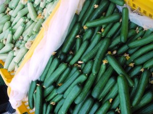 Cucumbers and zucchini