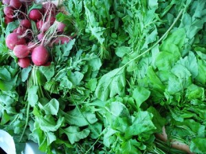 Rocket and radishes