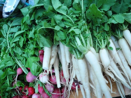 Farmers Market - radishes galore