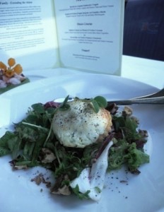 Goats cheese salad