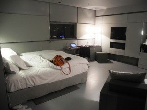 Sofitel Vienna Stephandsom's grey guest room