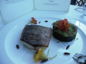 Seabass fillet