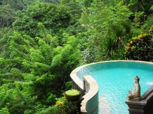 Villa Awang Awang in Ubud