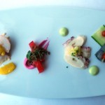 Poached Maine Lobster Salad, Beetroot Cured Organic Salmon, Marinated Octopus, Obsiblue Prawns