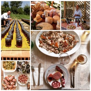 Slow food artisan producers in Le Marche