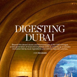 Digesting Dubai