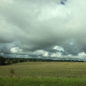 Fields en route to Normandy - French dairy - FooDiva