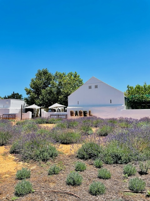 Babel, Babylonstoren - Franschhoek - South Africa - FooDiva